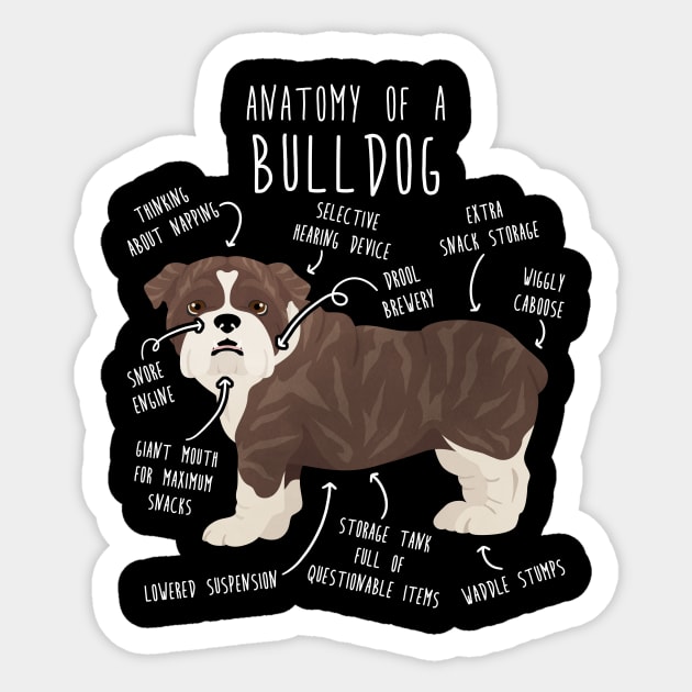 English Bulldog Brindle Dog Anatomy Sticker by Psitta